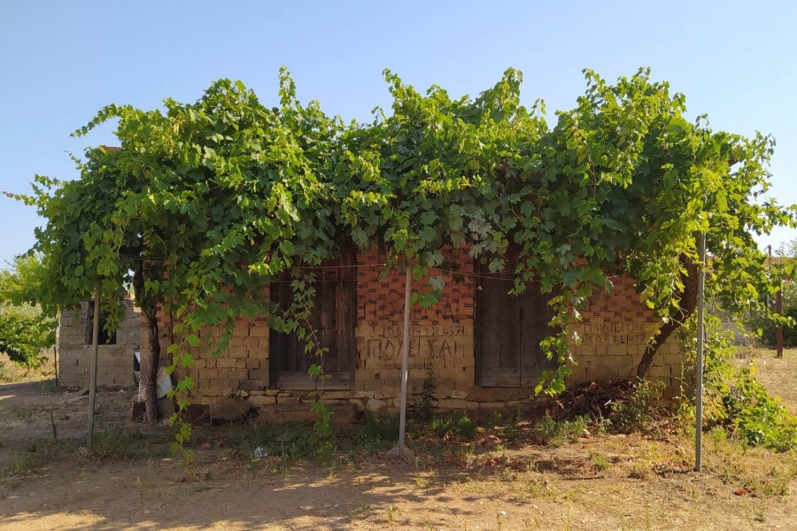 Έ&nu;&alpha; &Kappa;&alpha;&lambda;&omicron;&kappa;&alpha;ί&rho;&iota;